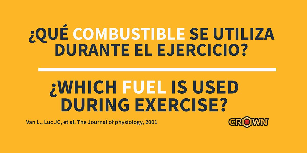 What Fuel Does the Body Use During Exercise?