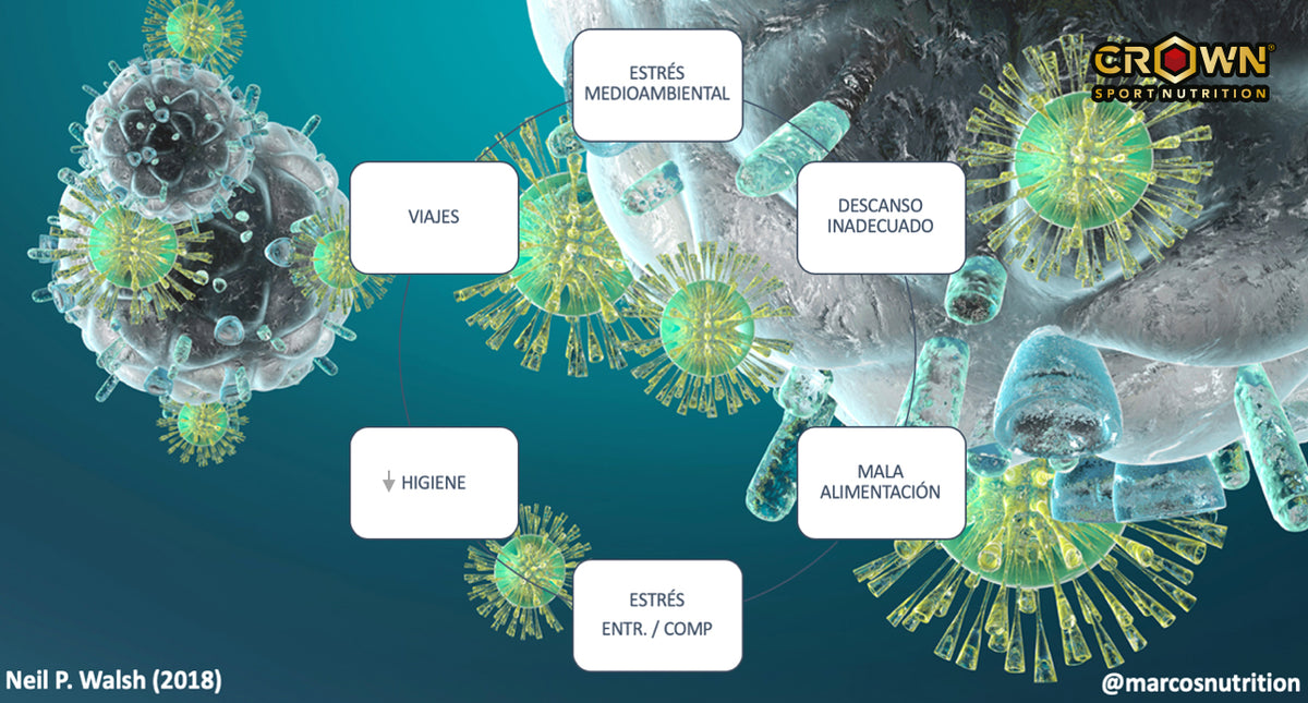 Nutrition and the Immune System: A False Pairing?